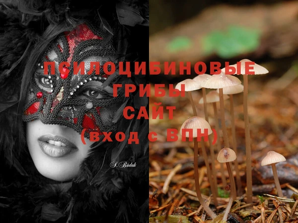 ECSTASY Магас
