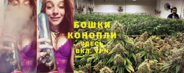 гашик Магадан