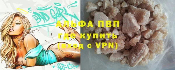 стафф Майский