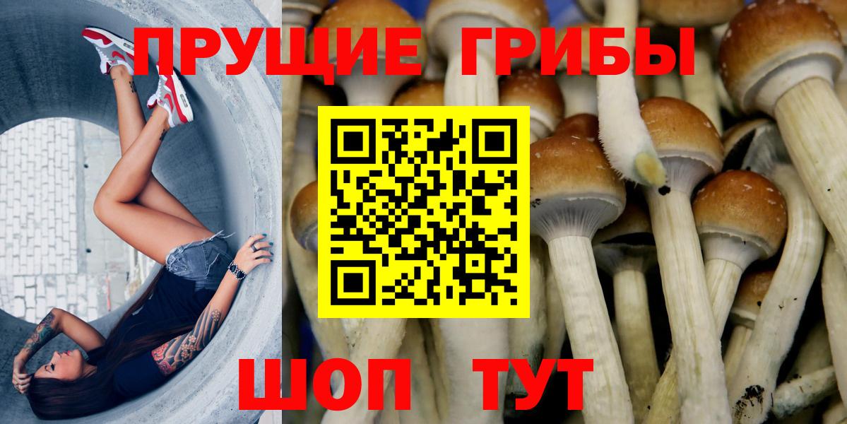 Галлюциногенные грибы прущие грибы Нарткала